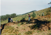 Prospecciones de zepadis en Salobieta, Otaño (Legazpi, 1993)