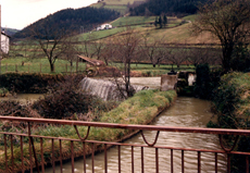 Canal y presa (ferrería Altuna, Azpeitia)