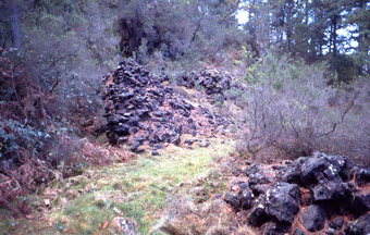 Mineral de hierro extraído de las minas de Arditurri 